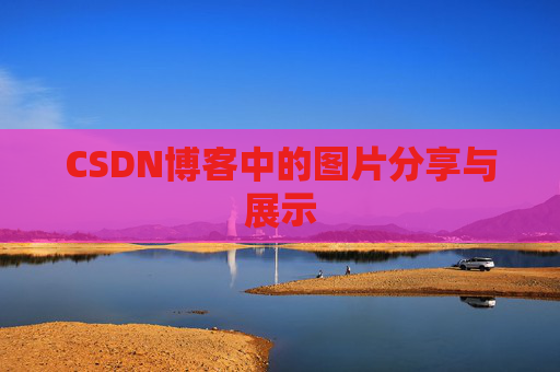 CSDN博客中的图片分享与展示